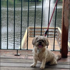 Meet your Posher, Maxine